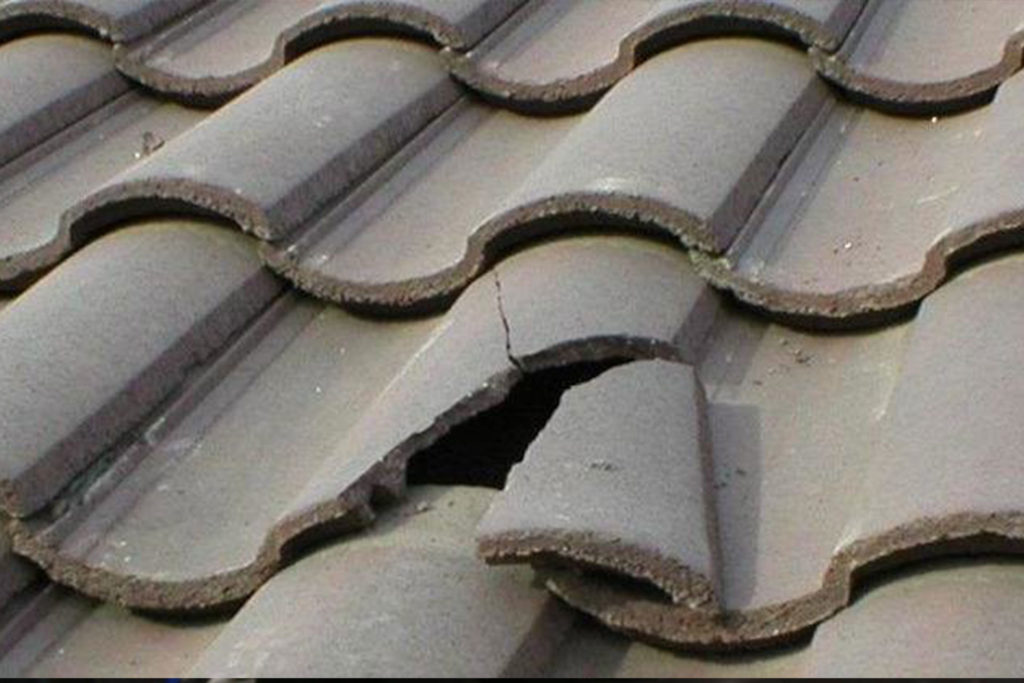 Roof leak repair Auckland